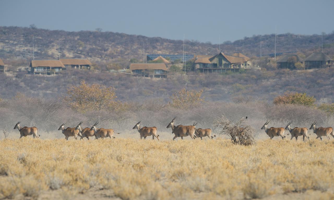 Safarihoek Lodge Kamanjab Exterior foto